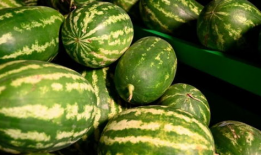 大连爆料吃瓜事件视频,吃瓜群众视角下的视频事件深度解析